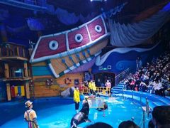 -烟台海昌鲸鲨海洋公园