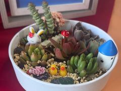 -北京之星奔驰4S店(亦庄店)