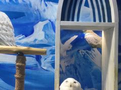 -成都浩海立方海洋公园