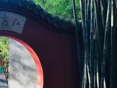 -望江楼公园