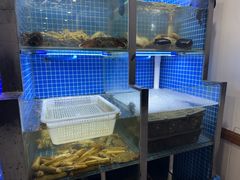 -金龙·打边炉(武进路店)