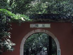 -灵谷景区