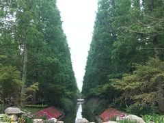 -东平国家森林公园