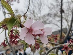 -外滩海鲜烧烤广场(东三旗店)
