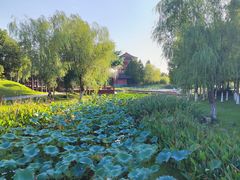 -东台西溪天仙缘景区