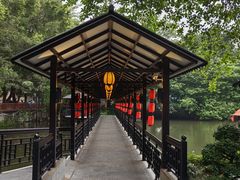 -侨美·唐荔园·40年地道粤菜