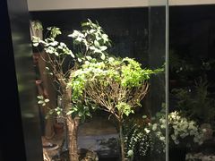 -植物学家的女儿(北马道巷店)
