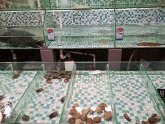 -天赢酒楼(青馨家园店)