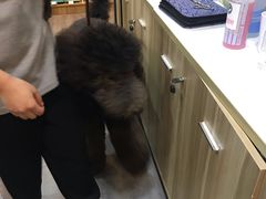 -PETKIT小佩宠物(古北店)