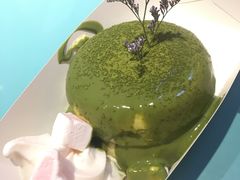 -狐狸和向日葵(北京路店)