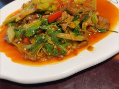 -陈麻婆豆腐总店