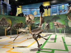 -国家自然博物馆