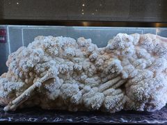 -湖南省地质博物馆