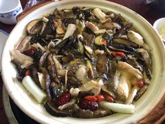 -江川野生菌火锅铜锅鱼(贵清火锅店)