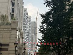 -佩兹宠物医院肿瘤专科·眼科·牙科(黄浦店)