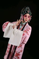 -胭脂猫京剧摄影