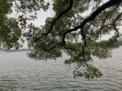 -东湖落雁景区
