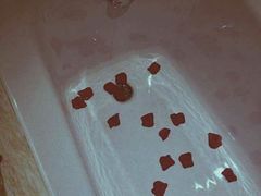 android_upload_pic-北京西苑饭店(动物园地铁站店)