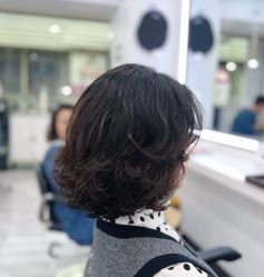 -镁连社·美联社