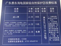 -广东惠东海龟国家级自然保护区