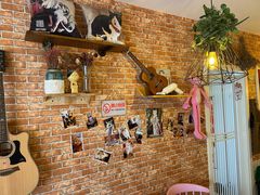 -名猫咖啡馆·撸猫·拼豆