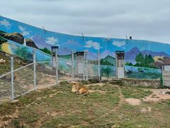 -西霞口神雕山野生动物世界