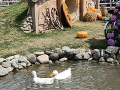 -HERRE·FARM 赫尔露营农场·团建聚会包场