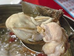 -花苑美食横琴生蚝火锅(拱北粤华路店)