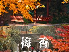 -九曜山