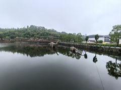 -西峡恐龙遗迹园