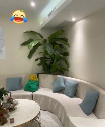 -健身堂科技美肌SPA