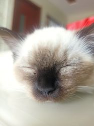 -盘子女人坊古装摄影(万达店)