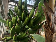 -陆地游轮吉林神农温泉