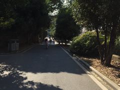 -武汉大学-樱园