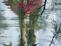 -扬州大运河文化旅游度假区·盆景园