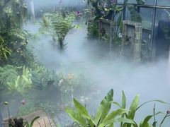 -东莞植物园