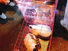 -新世界休闲生活广场