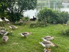 -长春市南湖公园