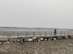 -南汇嘴观海公园