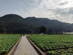 -广州市石门国家森林公园