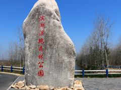 -合肥滨湖国家森林公园