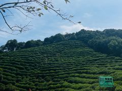 -西湖风景区十里琅珰-五云山