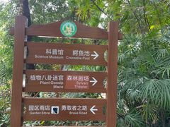 -广东茂名森林公园