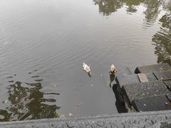 -阿育王寺