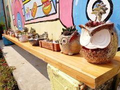 -金谷域澳洲庄园