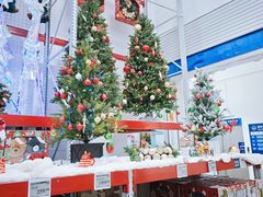 -山姆会员商店(上海浦东店)