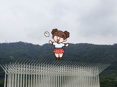 -风云岭森林公园
