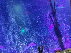 -沈阳海洋探索中心