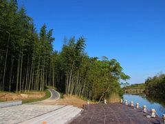 -黄海国家森林公园