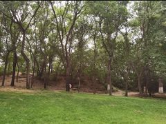 -元大都城垣遗址公园